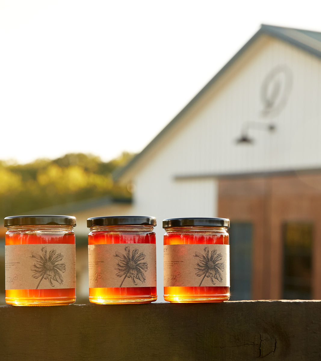 The Fields Honey - 11oz Organic Raw Unfiltered - 2025